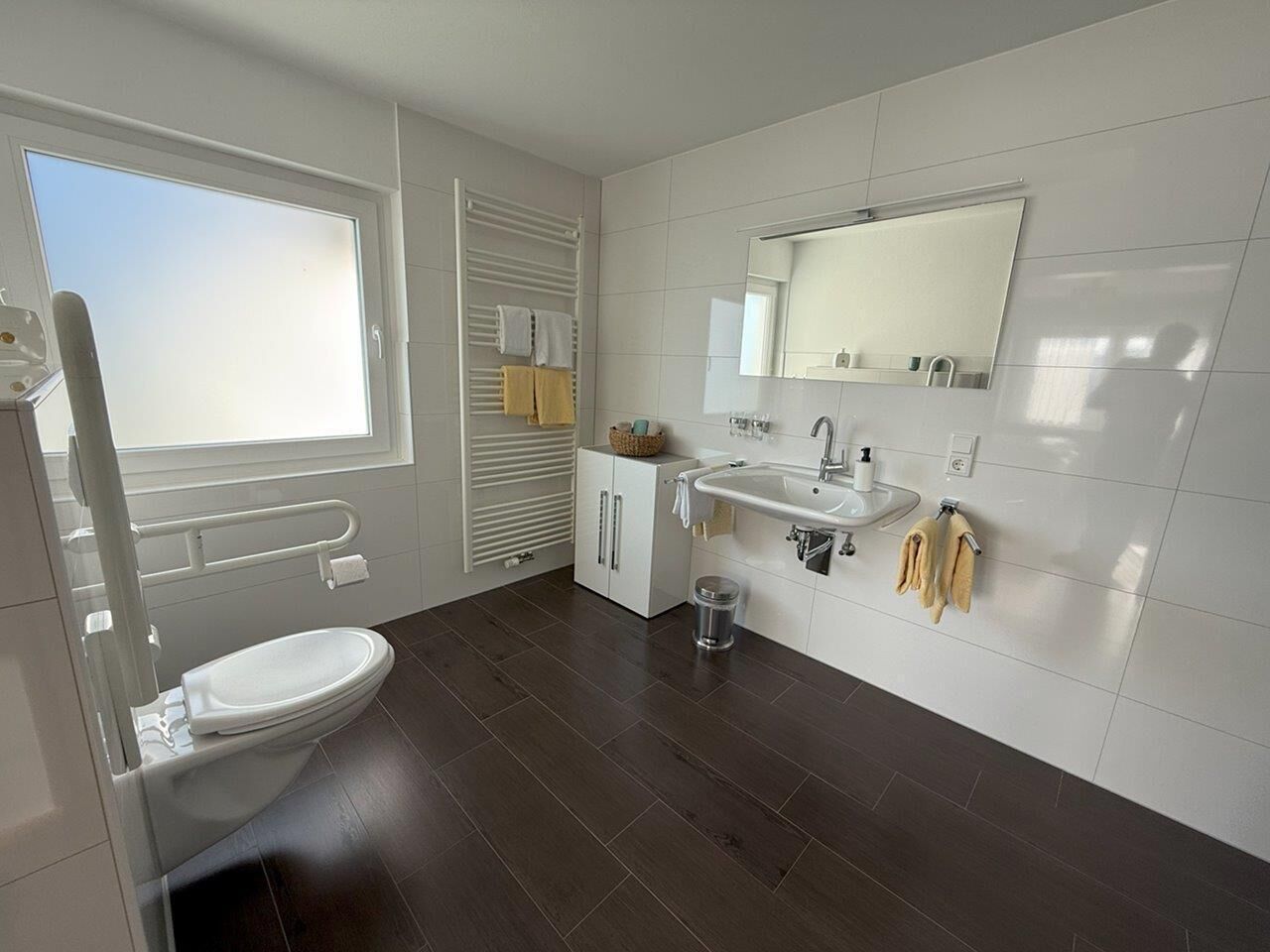 A modern bathroom with a toilet, sink, and mirror.