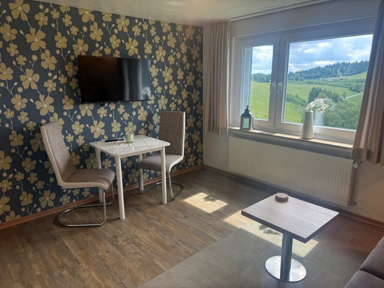 Una habitación con televisor, dos sillones, una mesita, ventana con vistas a zonas verdes y un radiador.