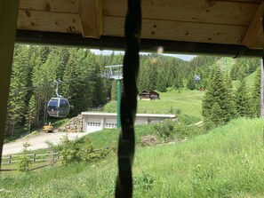 Property grounds - Baita Lupo Bianco Hütte Sellaronda (Canazei)