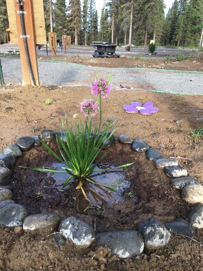 Terrein van de accommodatie