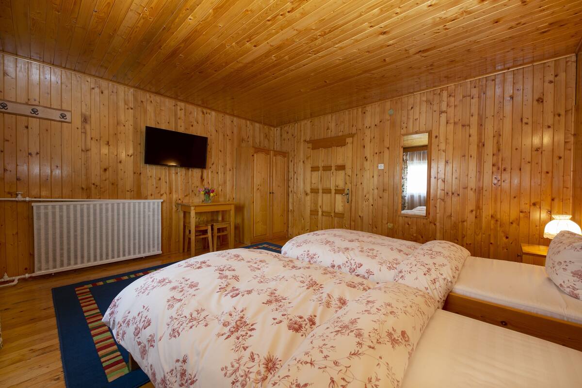 Desk, free WiFi, bed sheets