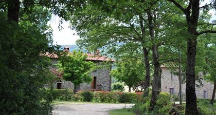 AGRITURISMO LA PIETRAIA