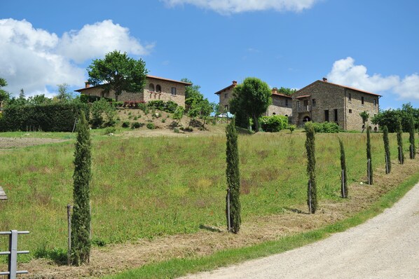 บริเวณภายนอก