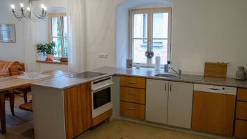 Kühlschrank, Ofen, Herdplatte, Geschirrspüler