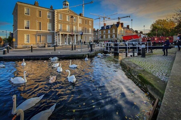 Front of property - Georgian Rooms Apart-Hotel Portobello (Dublin)