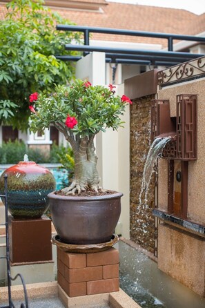 Una piscina al aire libre