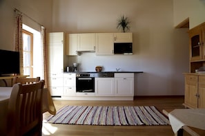 KĂŒhlschrank, Mikrowelle, Ofen, Herdplatte