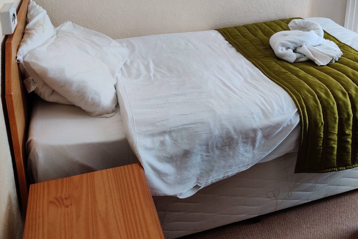 标准单人房, 1 张单人床 | 办公桌、熨斗/熨板、免费婴儿床、床单