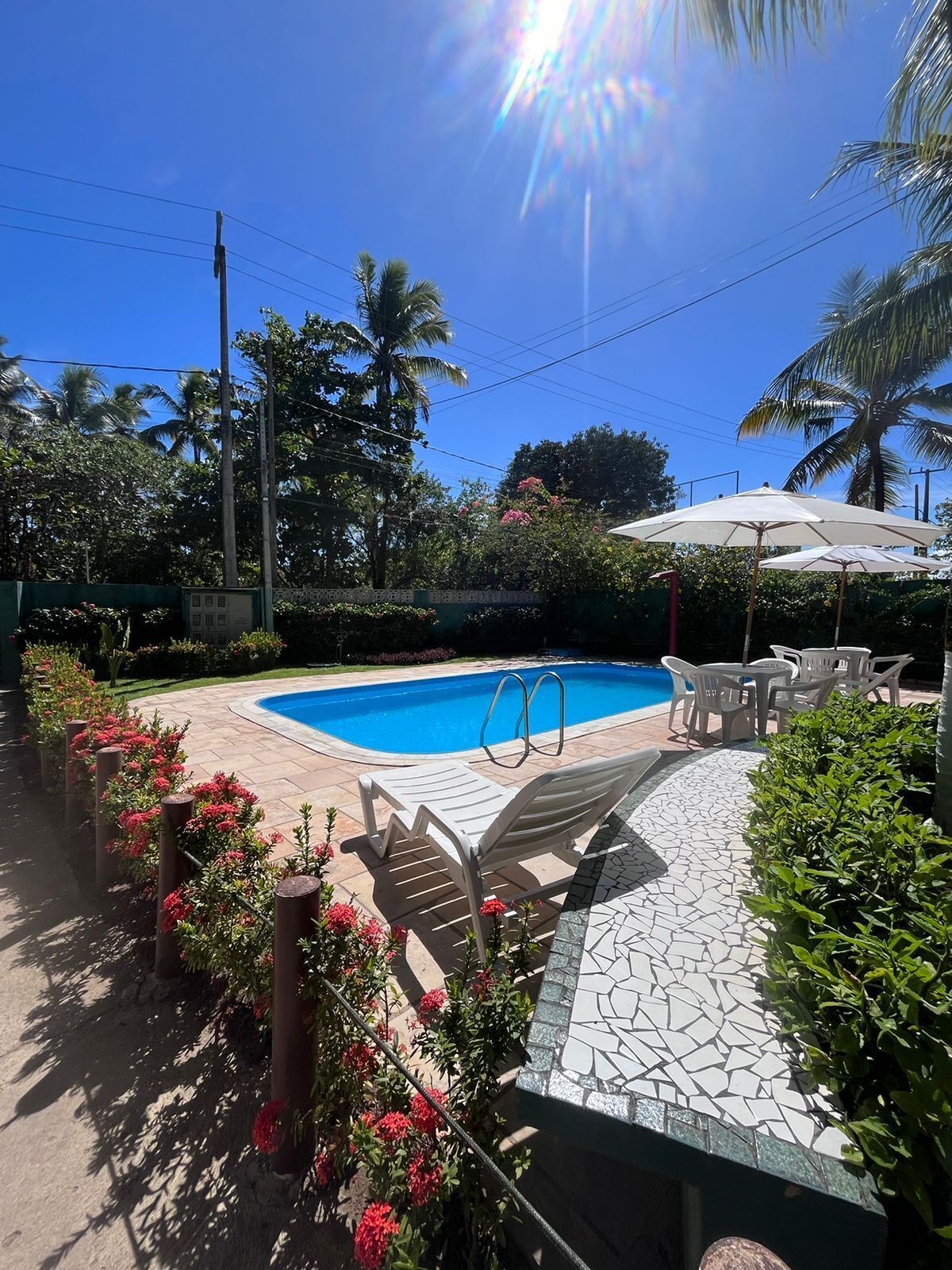 A swimming pool with a tiled deck, surrounded by palm trees and red flowers.