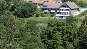Un barrio residencial con varias casas de dos pisos, rodeado de abundante vegetación y árboles.