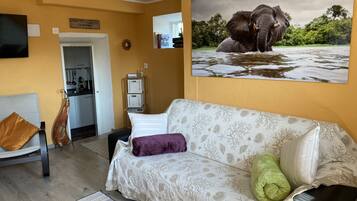 TV connectée, cheminée, livres, chaßne hi-fi