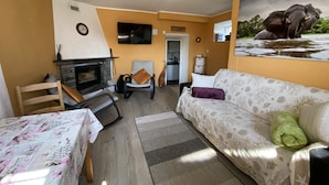 Ein Wohnzimmer mit Kamin, einer Couch, einem Sessel, einem Tisch und einem Elefantenbild.
