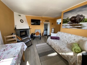 Un salon avec une cheminée, un canapé, un fauteuil, une table et un tableau représentant un éléphant.