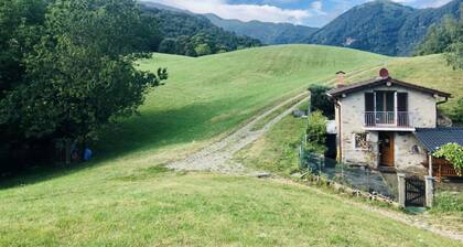 Retreat in nature:relax, walks, MT trails from the house, fireplace, WIFI
