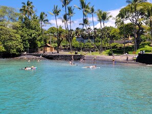 A beach with clear turquoise water, palm trees, and a small hut.