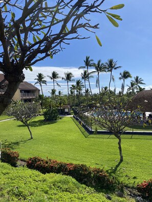 Property grounds - Newly Renovated Condo with SUP Paddle Boards and Golf Clubs Included (Kailua-Kona)