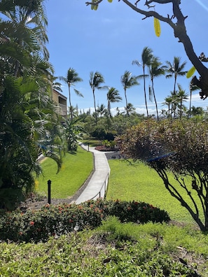 A pathway leading through a well-maintained garden with palm trees and a building in the background.