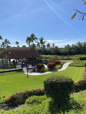 Property grounds - Newly Renovated Condo with SUP Paddle Boards and Golf Clubs Included (Kailua-Kona)