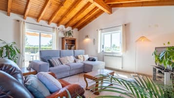 Fernseher, Kamin