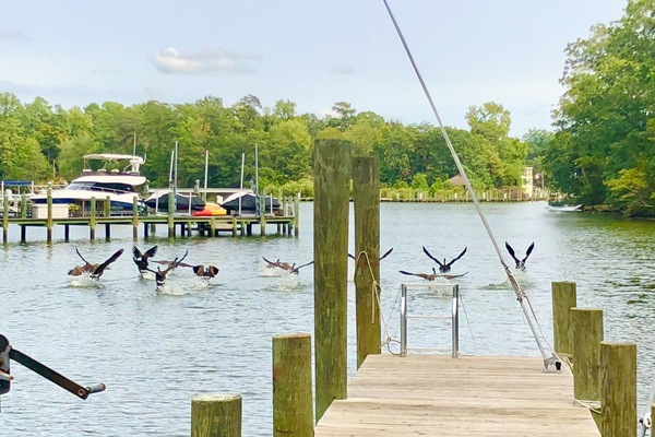 Dock on Carters Creek across from Tide Inn.