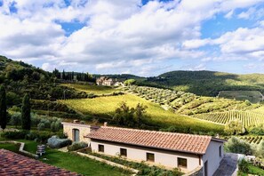 A vineyard landscape with terraced fields, a stone building with a tiled roof, and a distant hill with a house. - VILLA CHIANTI RUBINO (Greve in Chianti)