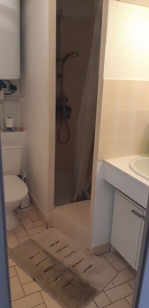 Shower, hair dryer, toilet paper