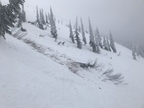 Sneeuw- en skisporten