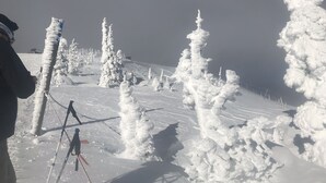 Uklassifisert bilde, 3 av 6, knapp