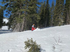 SkidÄkning och snöaktiviteter