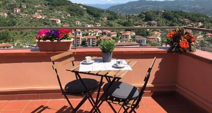 The house in the carob trees with breathtaking views