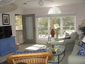 Flat-screen TV, streaming services