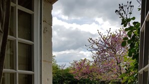 Blick aus einem Fenster auf einen Garten und einen Baum mit rosa Blüten.