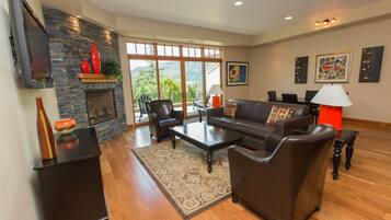 Smart TV, fireplace, books