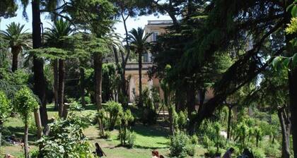 Colosseum's Neighbour