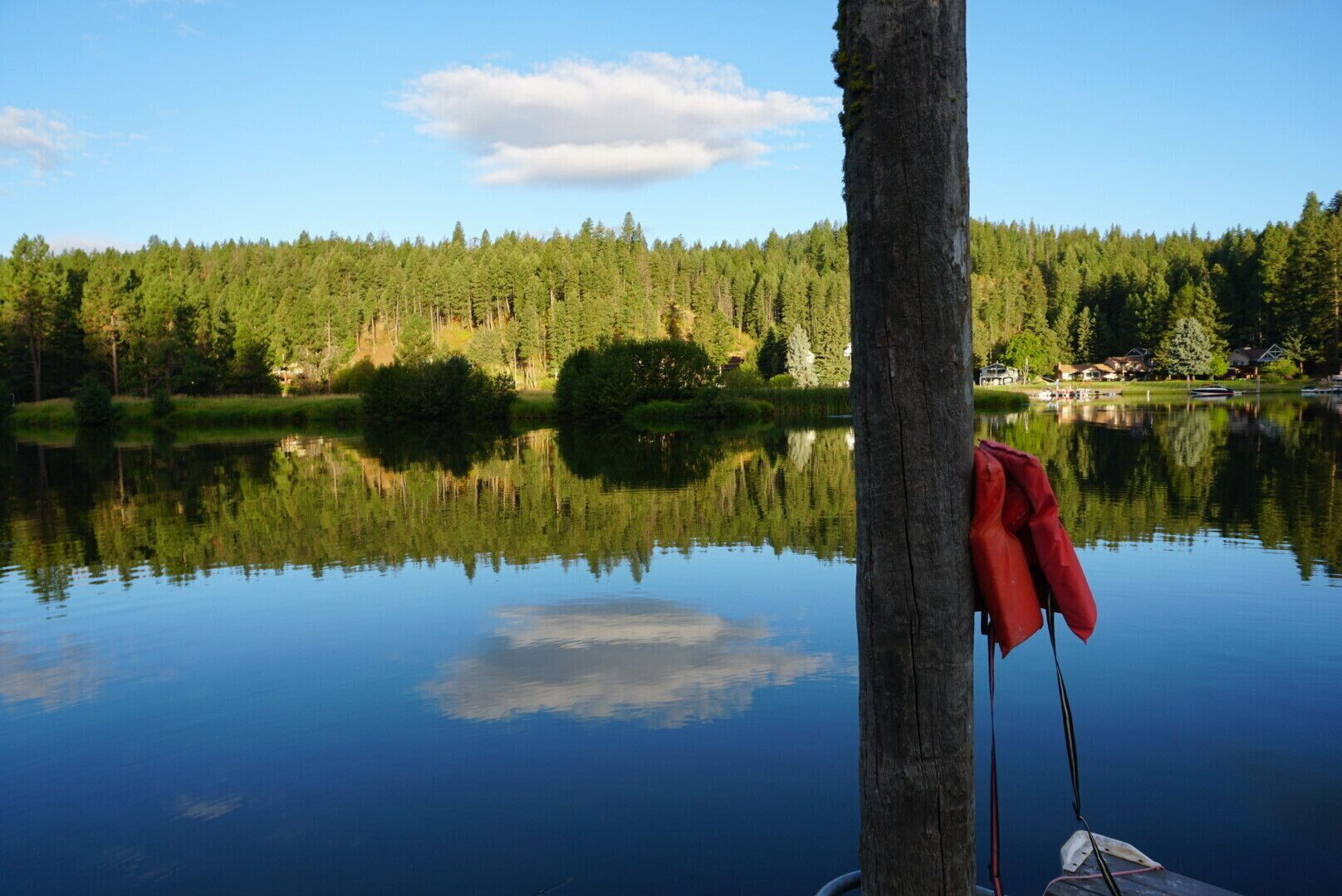 Un lac paisible, dont la surface reflète clairement les arbres, et une veste rouge accrochée au tronc d’un arbre.