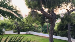 A landscaped garden with a variety of trees, a white wall, and a grassy area. - Villa   Tranquility. (Athens)