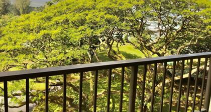 OCEAN VIEW 2BRM WITH BEACH PARK NEXT DOOR