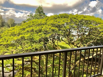 OCEAN VIEW 2BRM WITH BEACH PARK NEXT DOOR