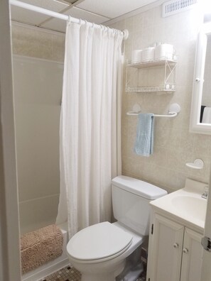 Combined shower/tub, hair dryer, soap, toilet paper
