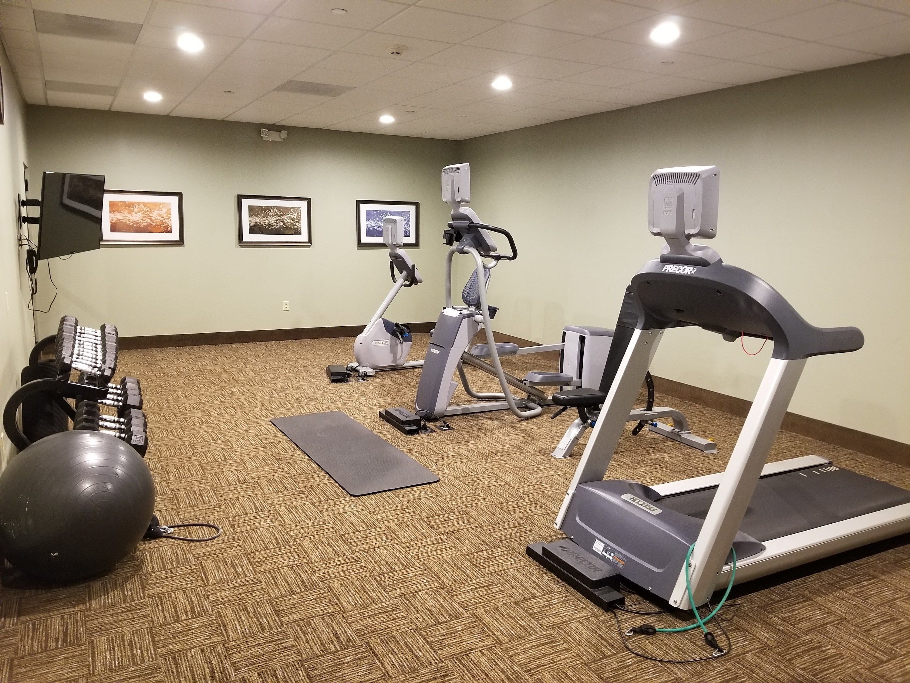 Area fitness