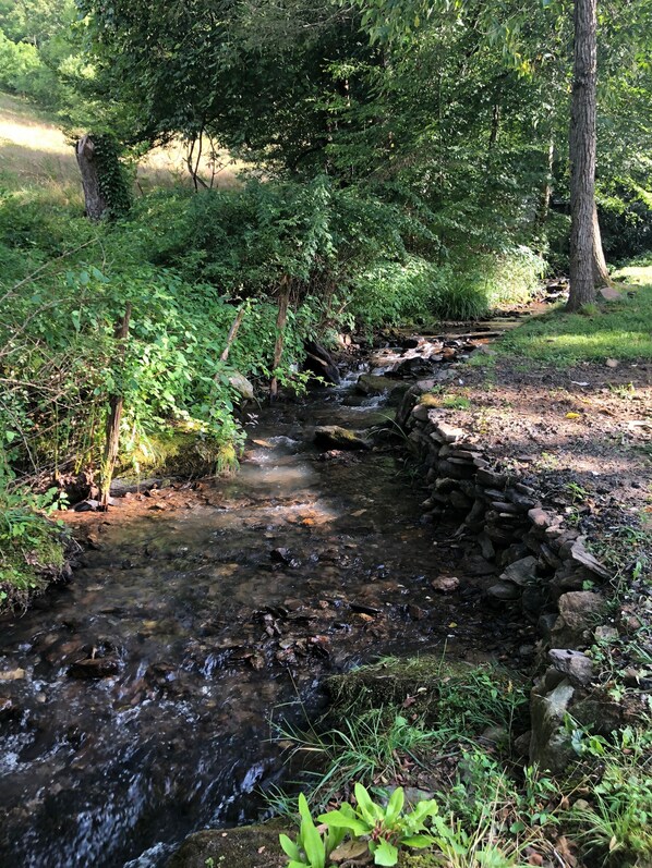 A stream flowing through a forested area with a stone wall on one side. - Spacious 2/2 fully remodeled house at Veda Inn. (Maggie Valley)