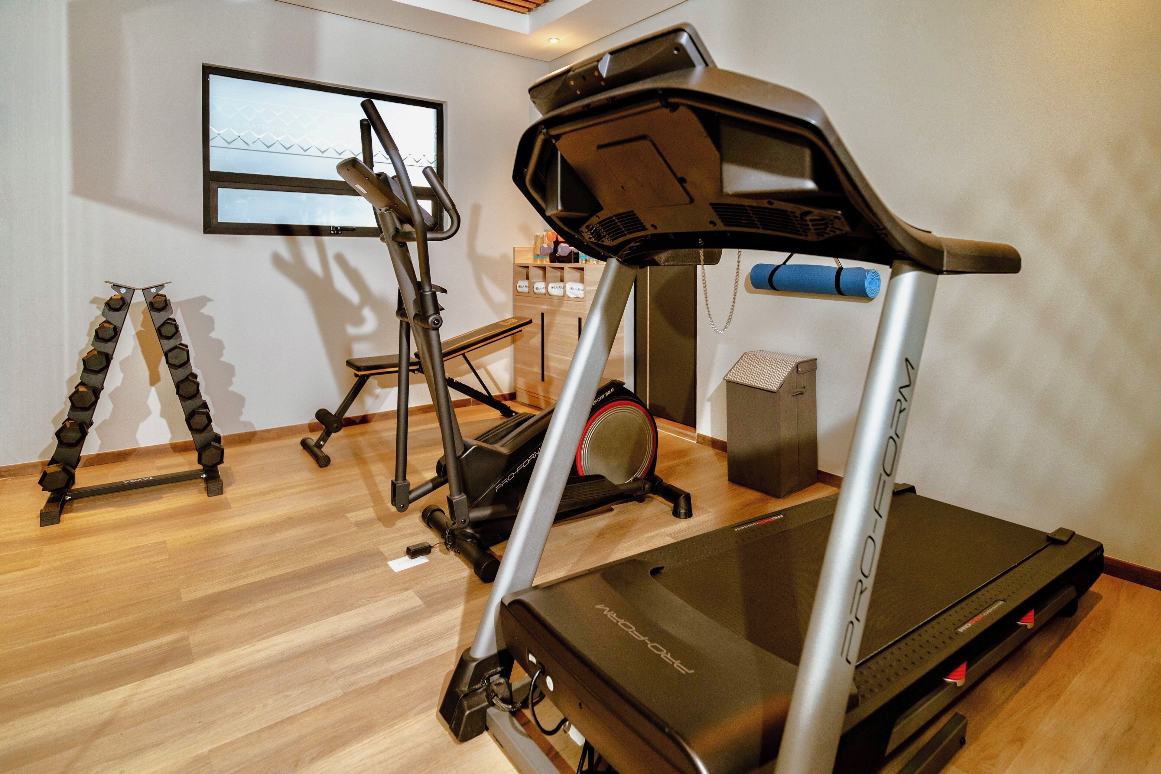 A home gym with a ProForm treadmill, a stationary bike, and a stair climber.