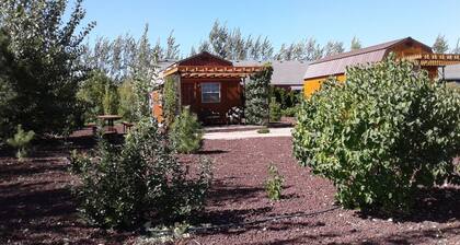 Tiny Home Cabin - Central to National Parks - ATV Trailer Parking Available!