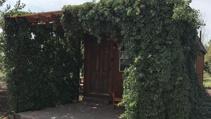 Una estructura de madera cubierta parcialmente por hiedra, con un camino de grava que la conduce.