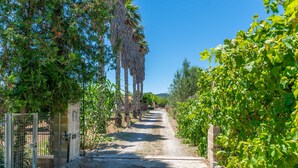 Un chemin de gravier bordé d’une végétation luxuriante et de grands arbres, qui mène à un bâtiment situé au loin.