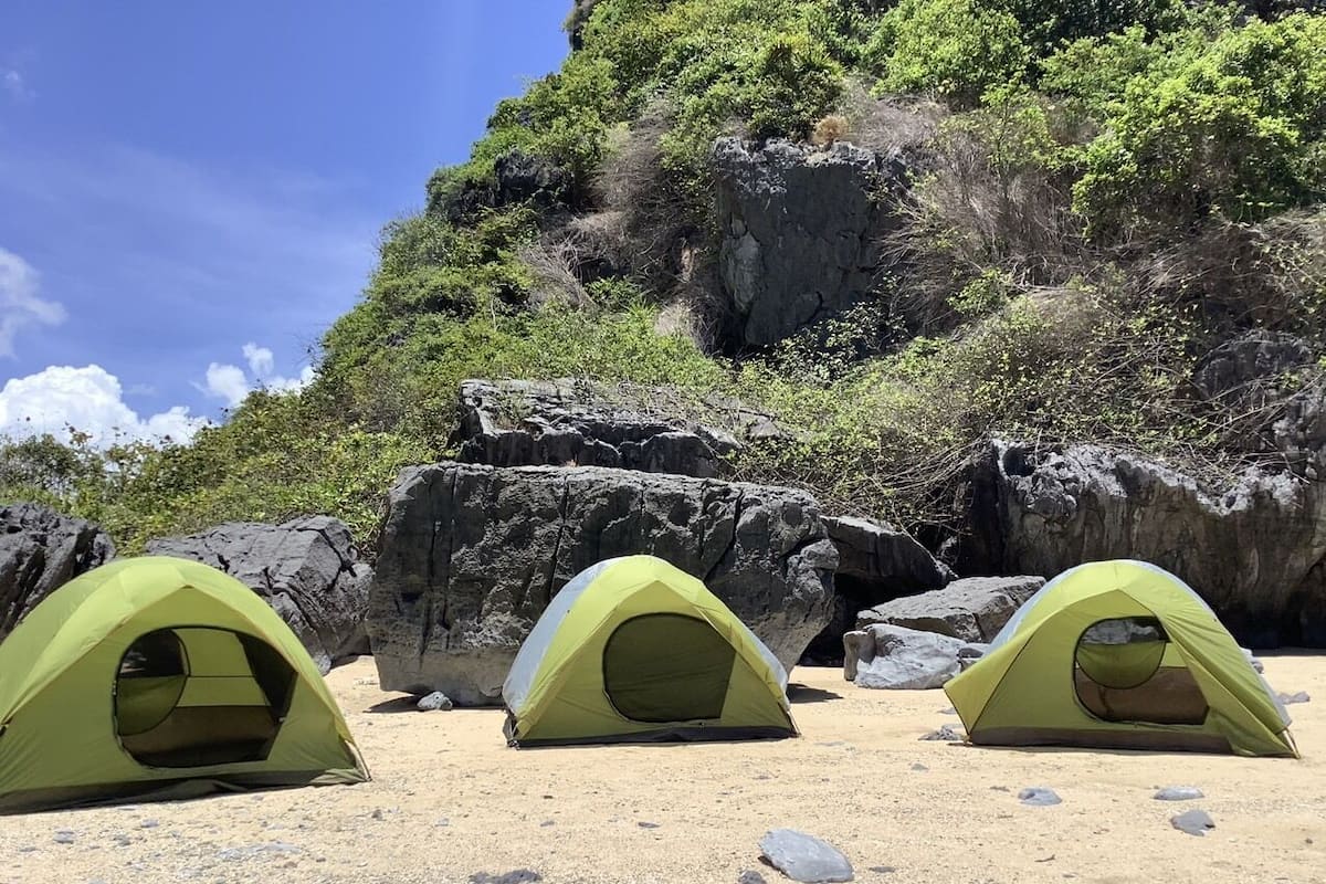 Basic Tent | Living area