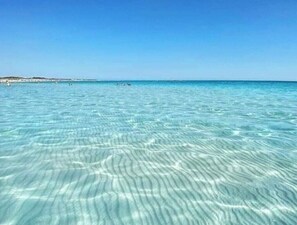 On the beach, sun-loungers
