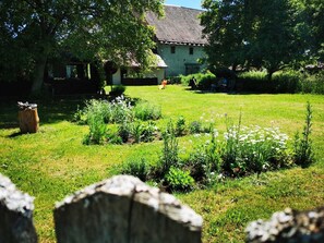 Jardines del alojamiento