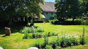 Un jardin avec une maison en arrière-plan.