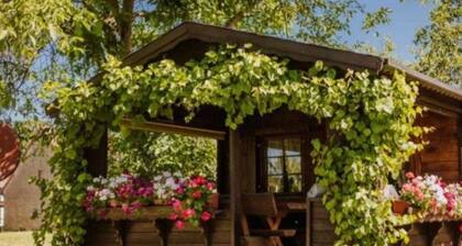 FeWo Erlwein Fränkische Schweiz - Ferienwohnung Erlwein